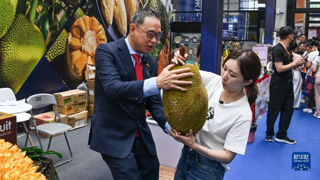 狗博是哪个平台